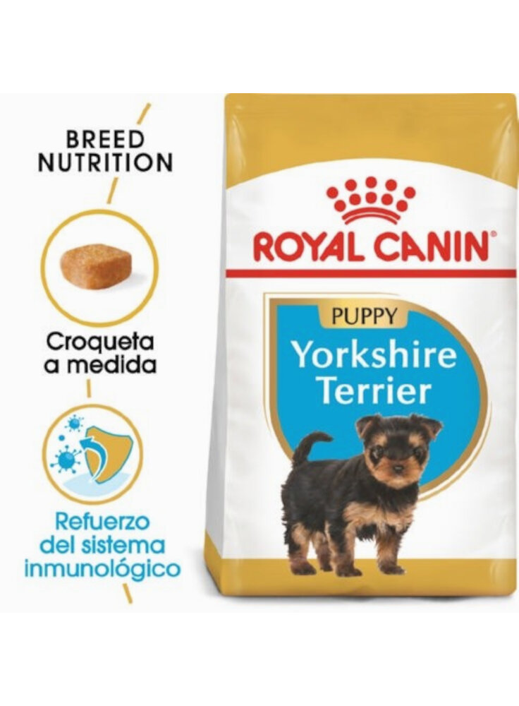 Yorkshire Terrier Puppy Royal Canin